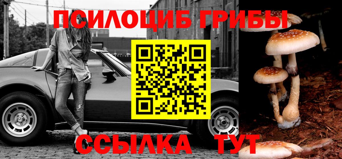 Псилоцибиновые грибы GOLDEN TEACHER Владикавказ
