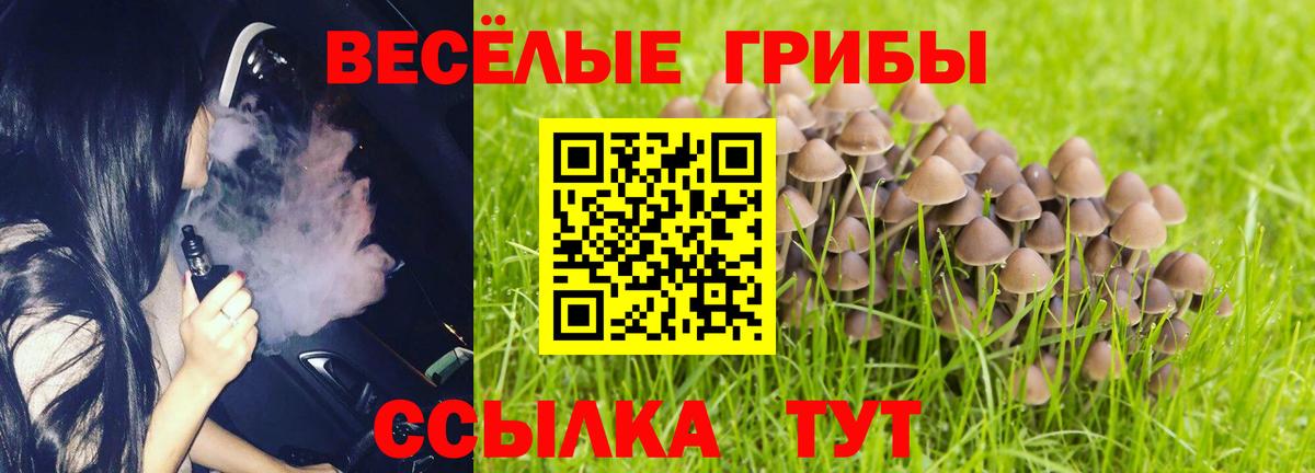 Владикавказ  Галлюциногенные грибы мухоморы  Вход с VPN 